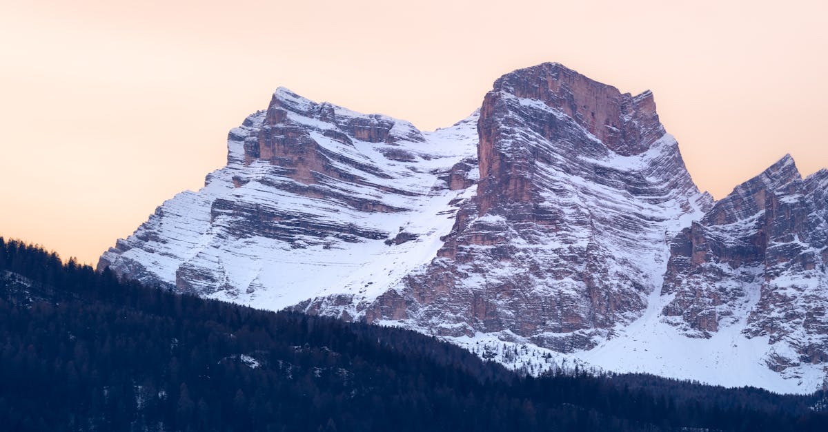 Assessing Damage Before Removing Old Stumps