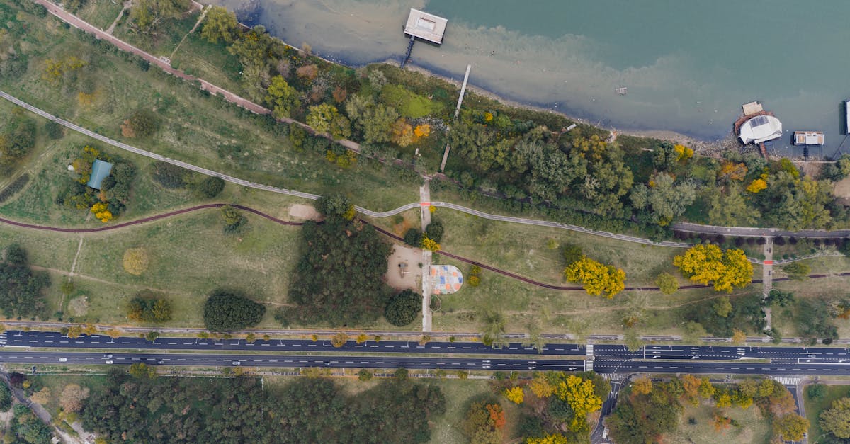 Evaluating Warranty Conditions for Restumping Services