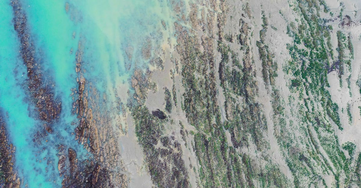 How to Verify Reviews for Credibility in Restumping Services