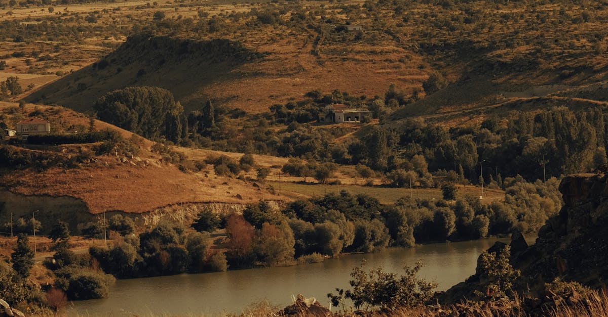 Identifying Signs of Damage Before Restumping