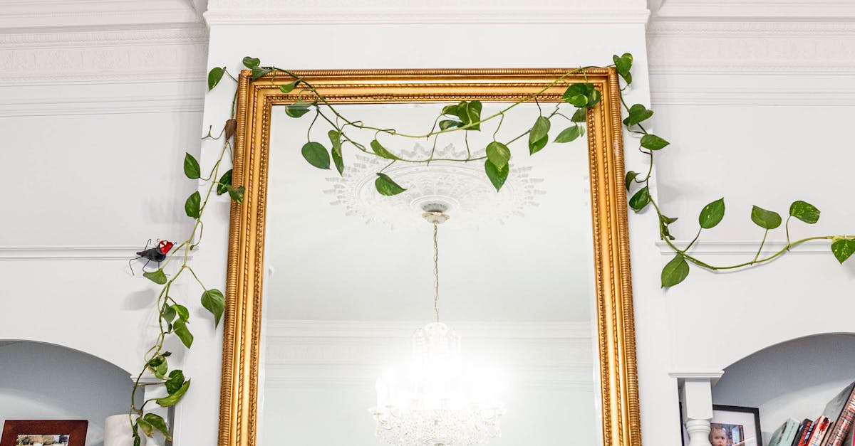 Maximising Your Investment: The Property Value Benefits of Restumping