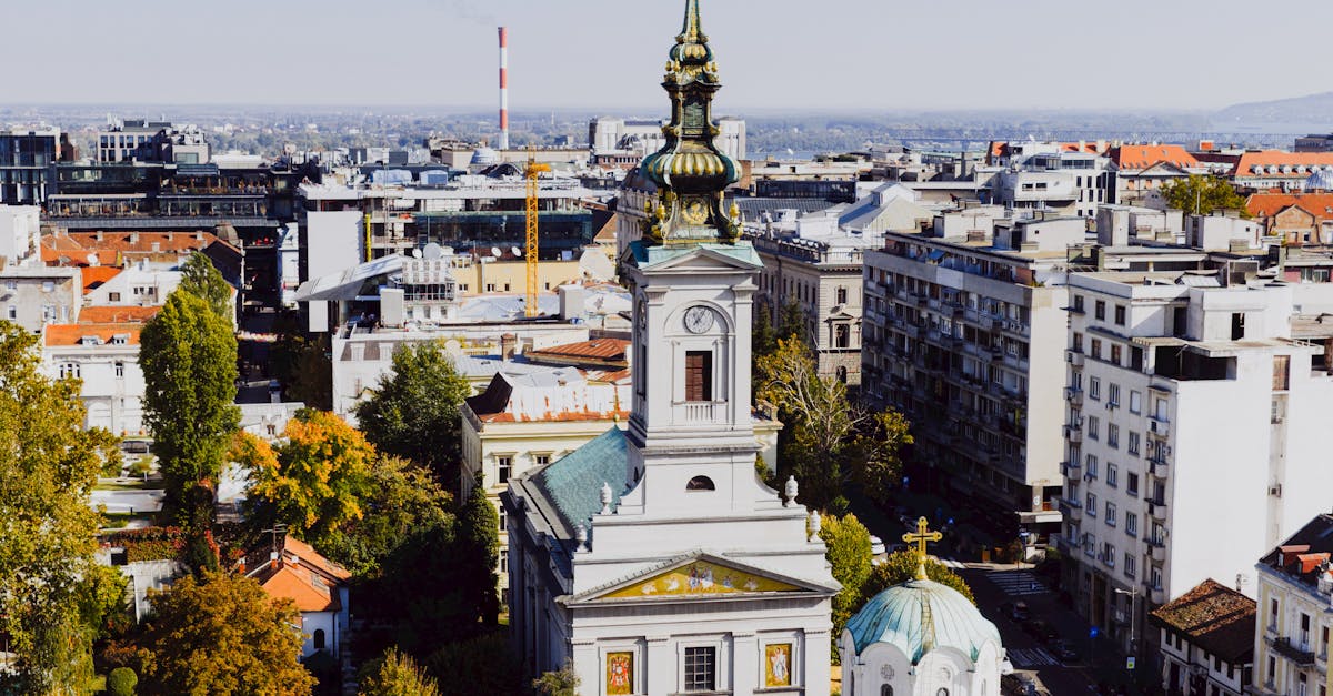 Minimising the Risk of Pest Infestations with Restumping