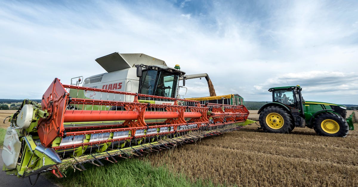 The Environmental Impact of Site Preparation in Restumping