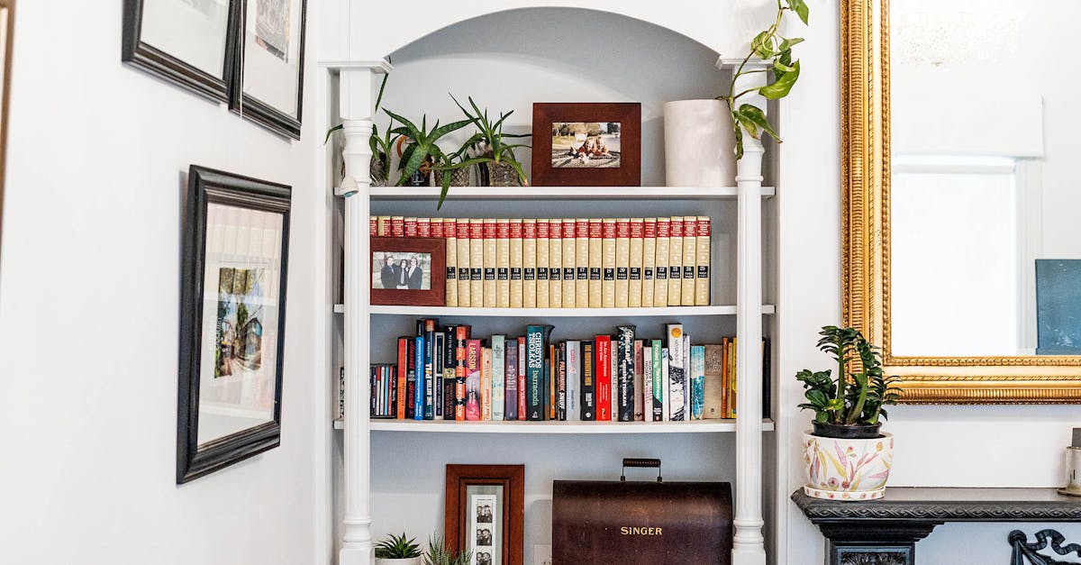 The Role of Drainage in Preparing a Site for Restumping