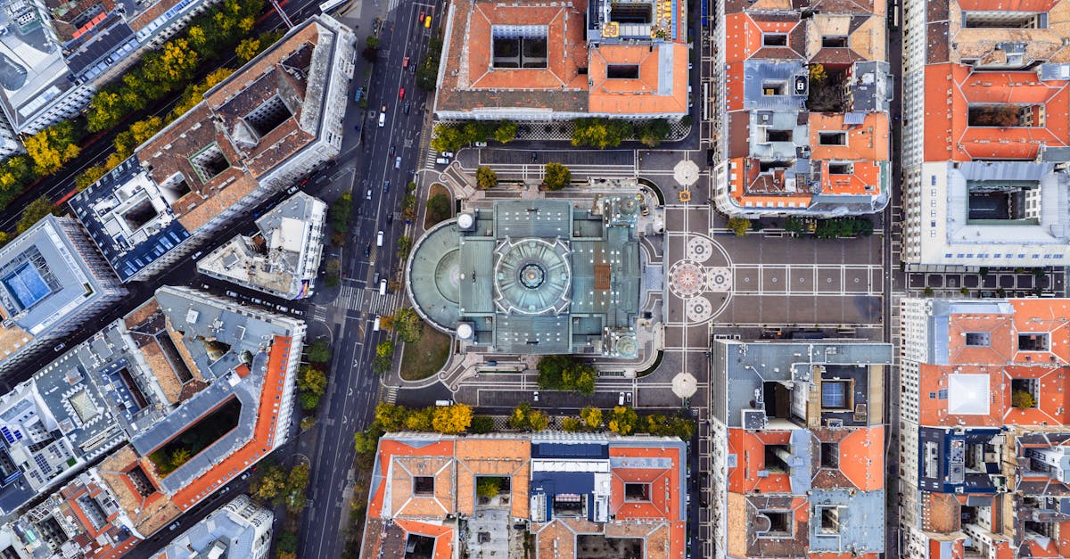 Tips for Ensuring a Thorough Cleanup After Stump Replacement